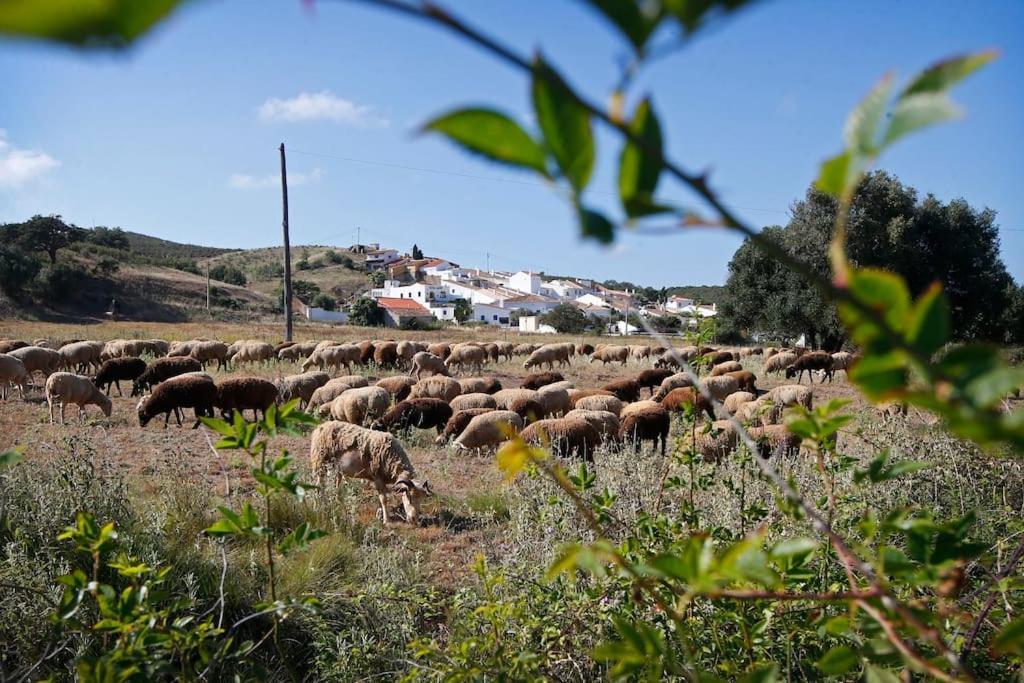 Villa Casa Amado, Aldeia Da Pedralva à Vila do Bispo Extérieur photo